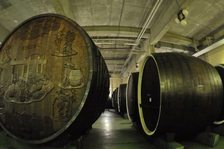 Grupa Kutjevo: Poznati proizvođač vina zapravo je jedan od najjačih proizvođača sjemena u Hrvatskoj