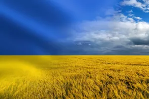 Ukrajina, žito, boje ukrajinske zastave