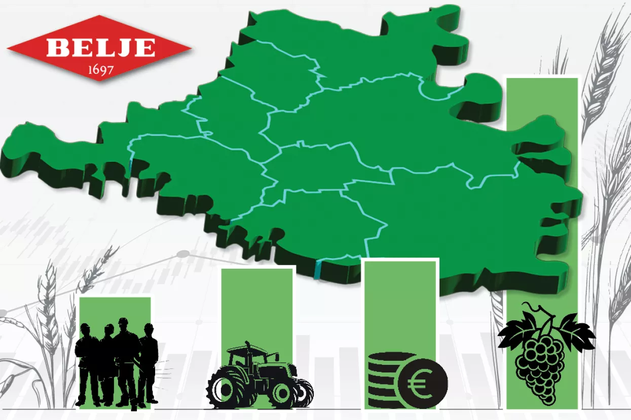 Udjel Belja u Baranji