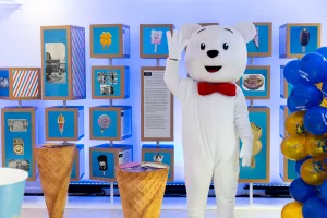 Ledoc kornet želja_Medo