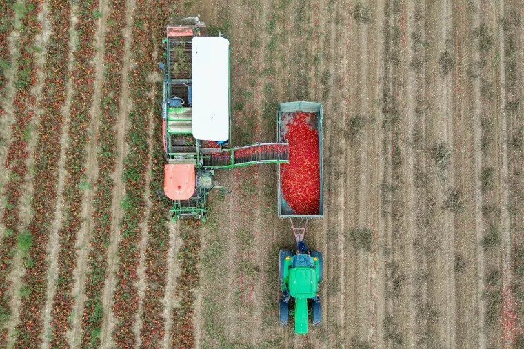 Poljoprivreda, Podravka, Fortenova Grupa