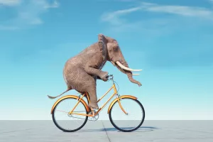 Slon, bicikl, ravnoteža