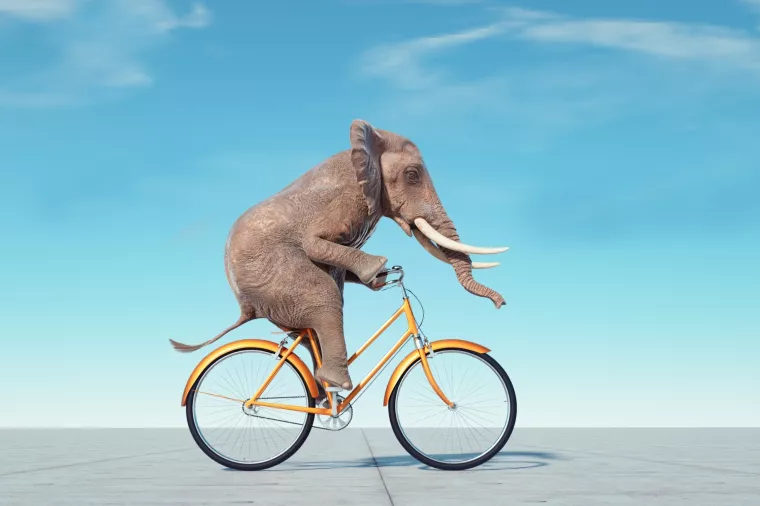 Slon, bicikl, ravnoteža