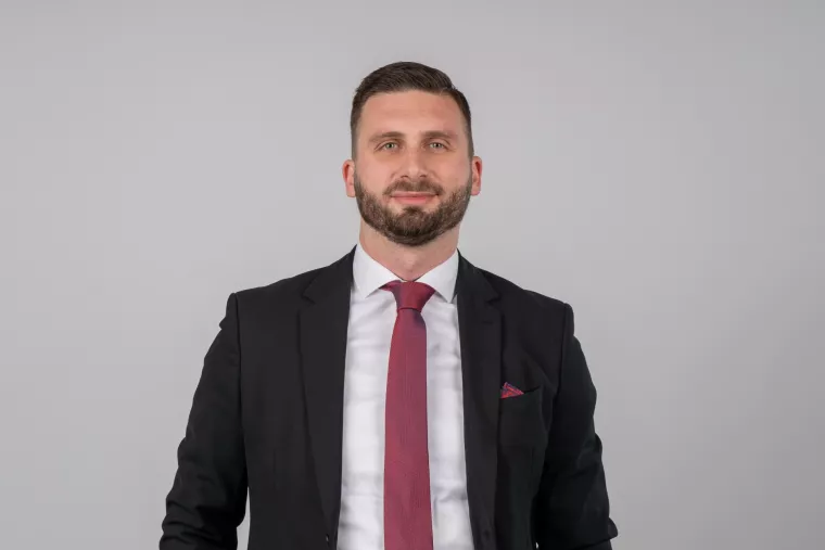 Ante Salopek, Deloitte