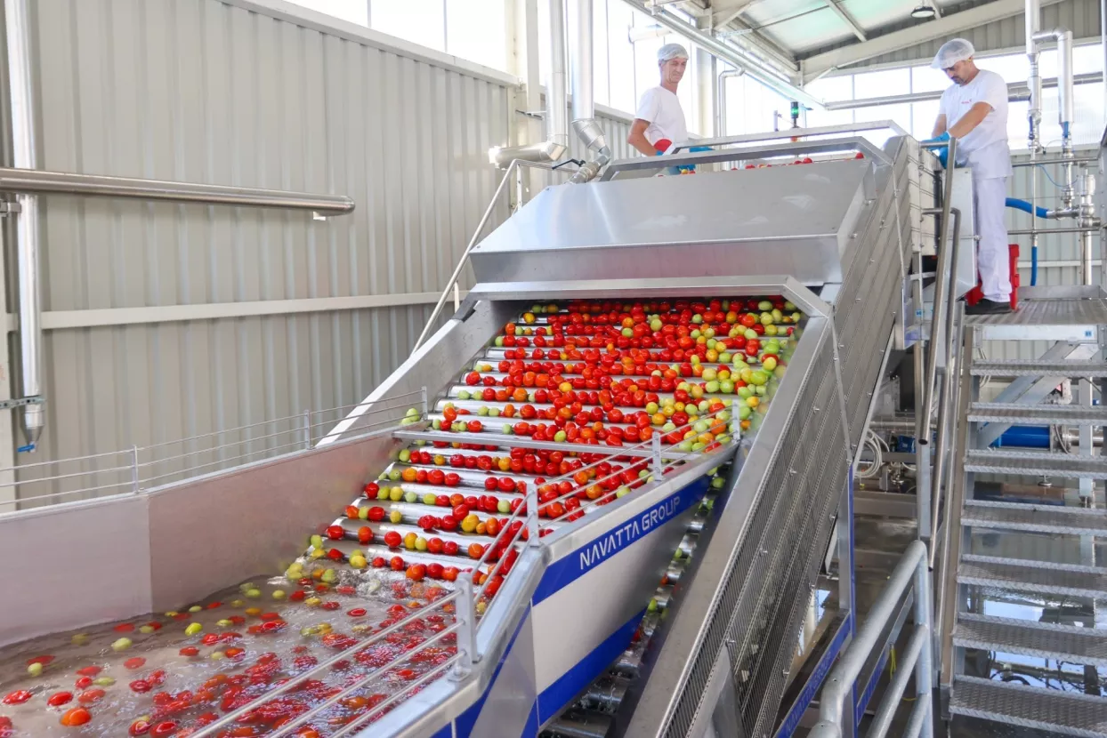 Podravkin novi pogon za preradu rajčice