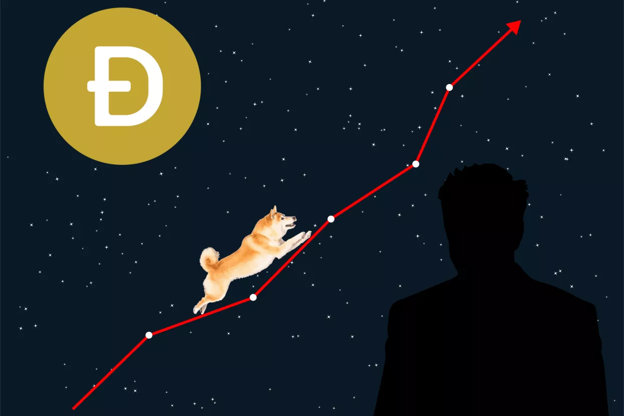 dogecoin Elon Musk Dogecoin