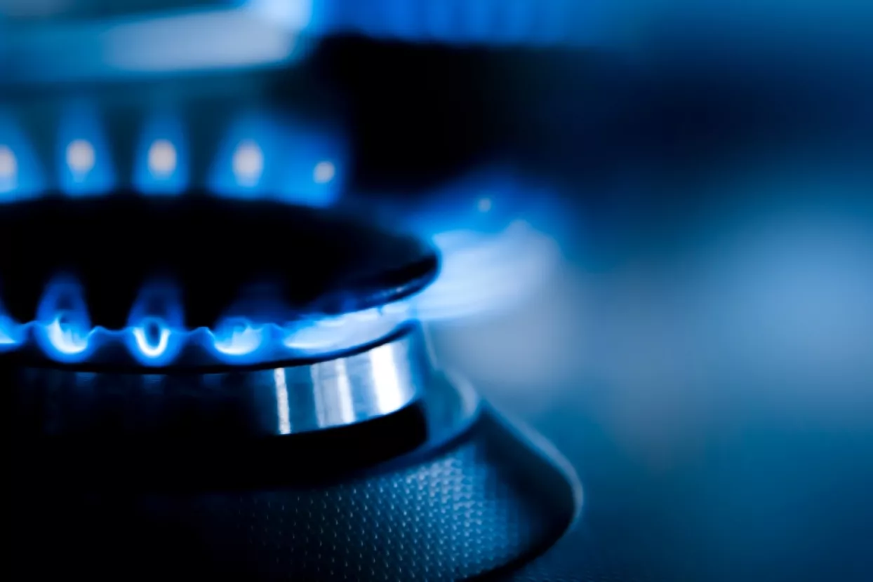 Plin, plamenik, štednjak, energija