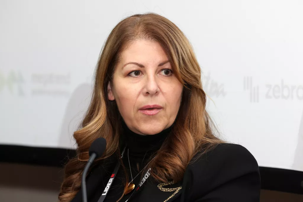 Kontroling 2024. C- panel: Izazovi transformacije - pogled s vrha. Milena Vušak