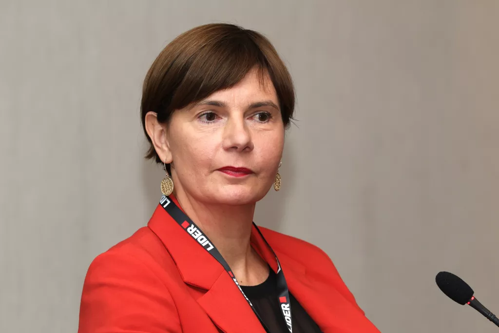 Kontroling 2024. C- panel: Izazovi transformacije - pogled s vrha. Snježana M. Lohinger