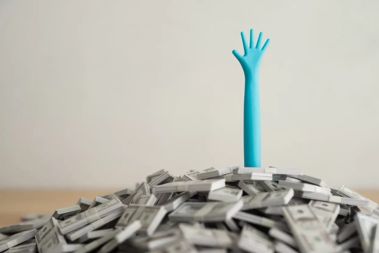 rasterećenje gospodarstva