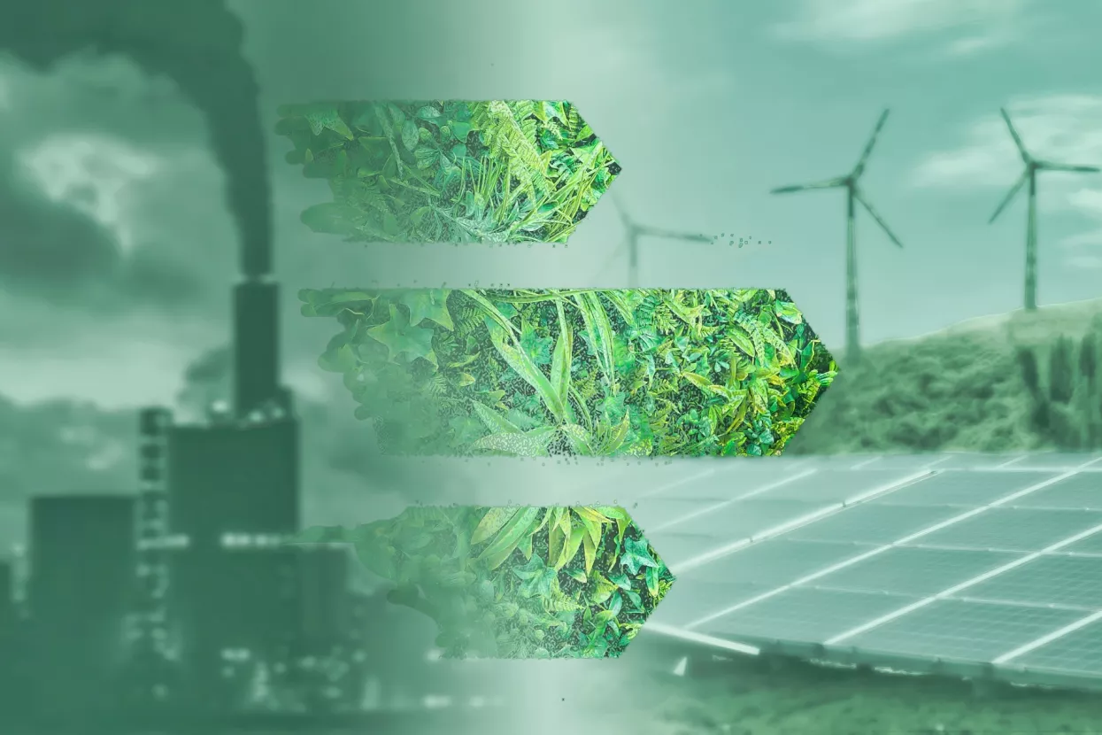 Dekarboniziramo se: Sitni koraci za smanjenje toksičnog ambijenta