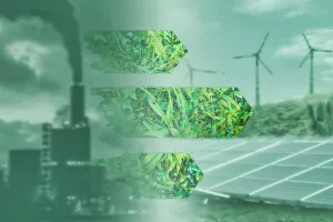 Dekarboniziramo se: Sitni koraci za smanjenje toksičnog ambijenta