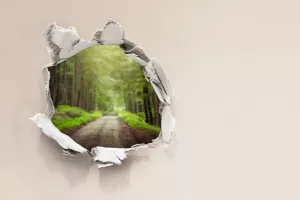 (Ne)održiva mobilnost: Električna vozila produbila jaz između urbanih i ruralnih sredina