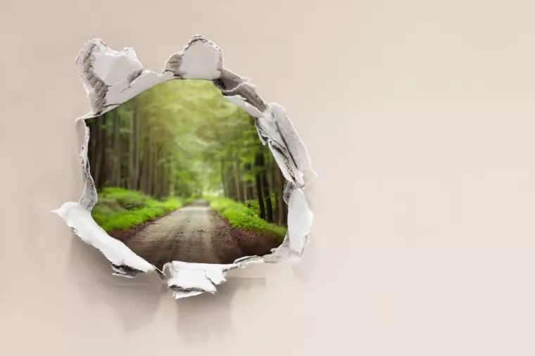 (Ne)održiva mobilnost: Električna vozila produbila jaz između urbanih i ruralnih sredina