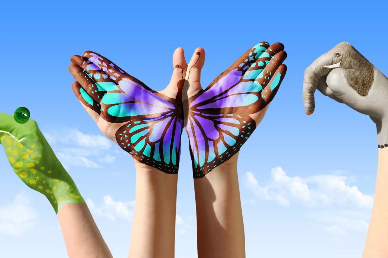 Sekvenciranje tajne života: Unosni podaci o DNK-u flore i faune