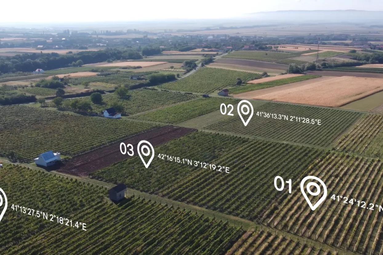 Iločki podrumi - Vineyard Angel platforma