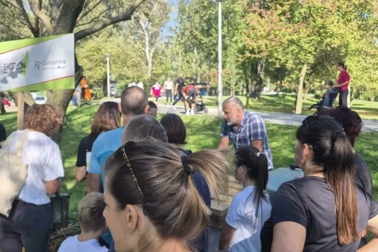 Consultare konferencija 