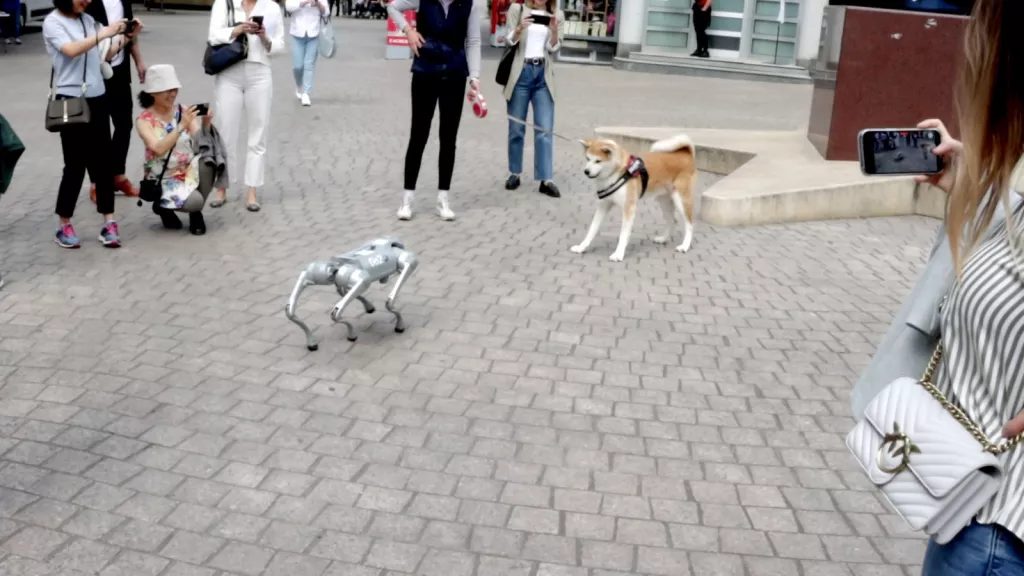 Izgradnja lokalnih ekosustava za STEM kao pokretač razvoja
