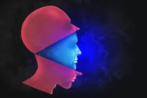 Dva lica, slojevi, prijevara, laž, licemjerje, laž