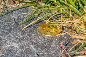 Izgubljeni bitcoin, zagubljeni bitcoin, gubitak