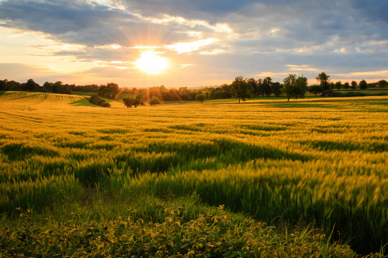 poljoprivredno zemljište