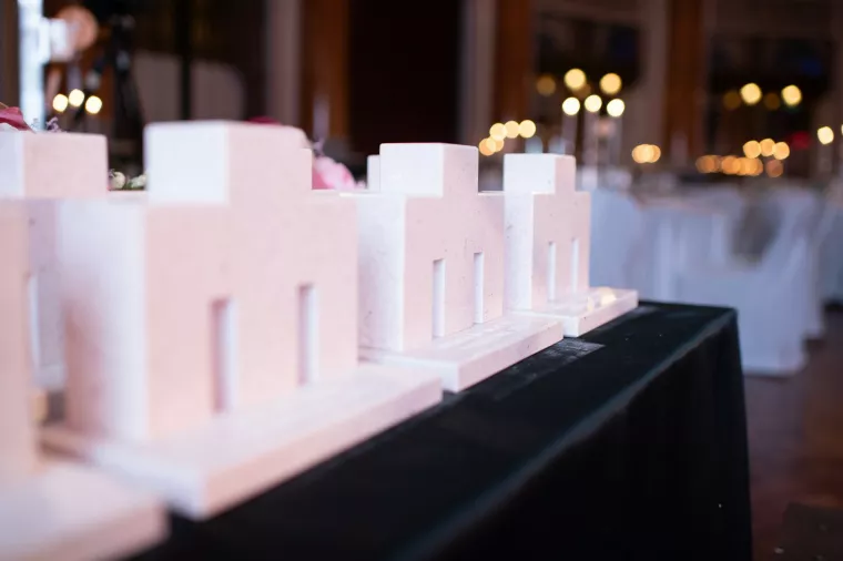 CROMA Menadžer godine