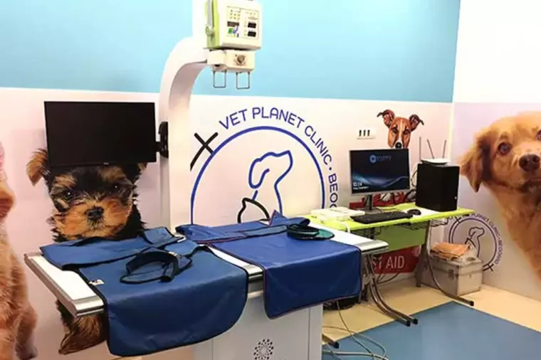 Vet Planet Clinic, Beograd