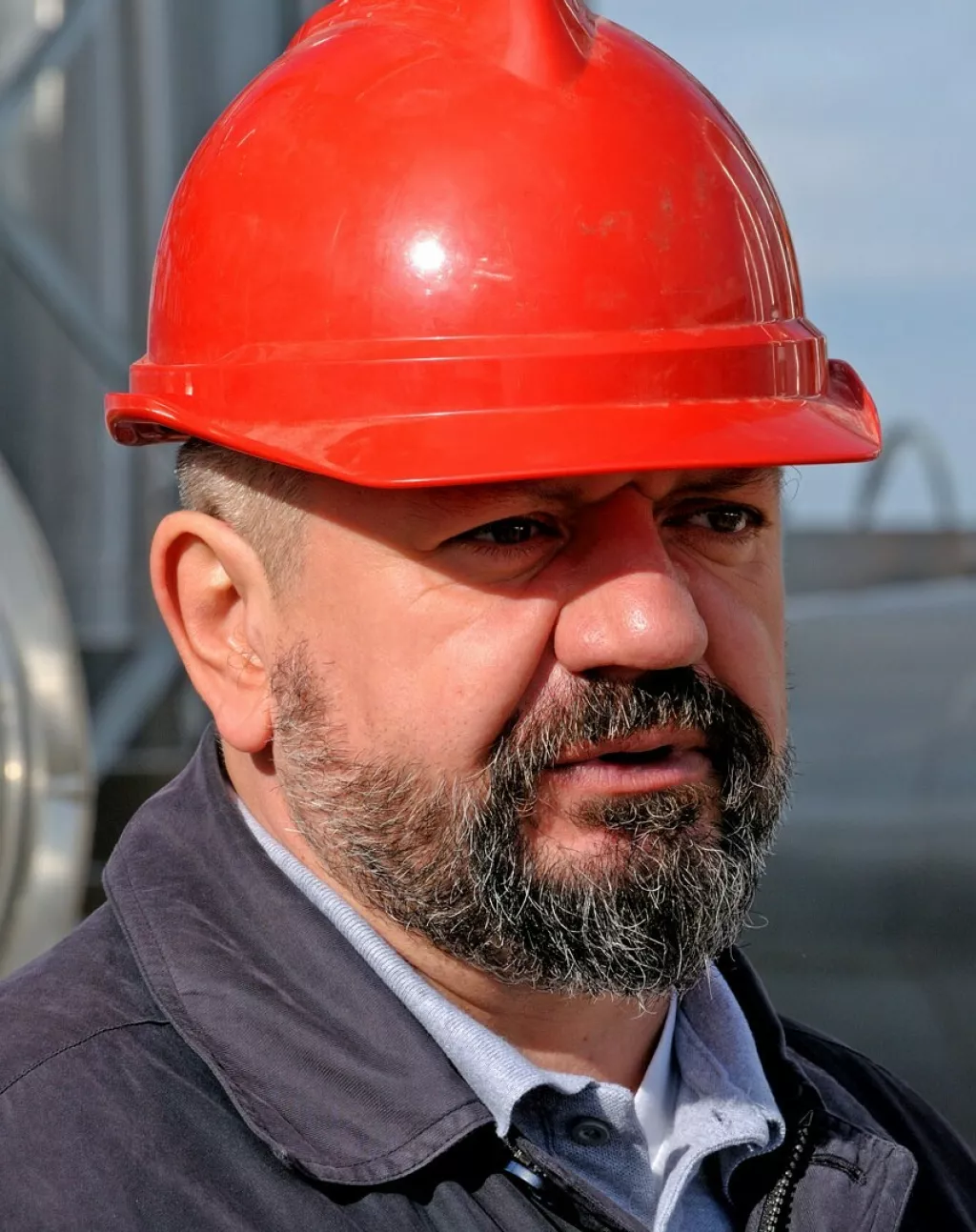 Dragutin Domitrović 