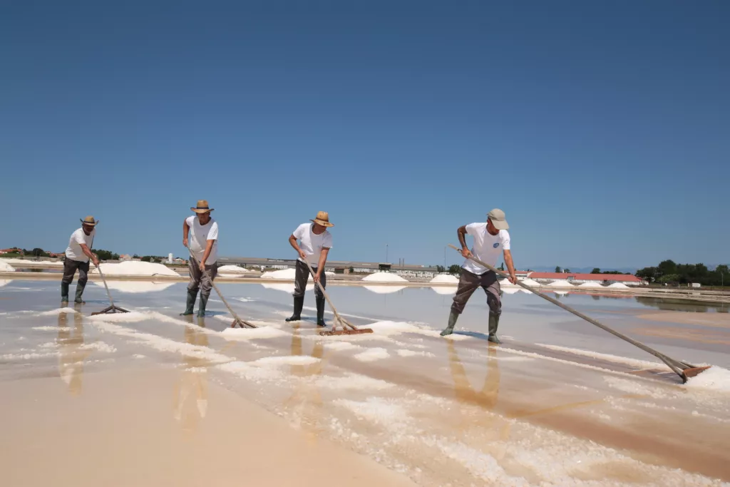 Solana Nin, proizvodnja sili, radnici u solani, sol