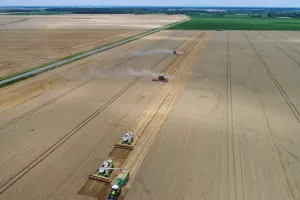 Ratarstvo, Agro Invest grupa