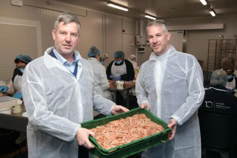 Toni i Ivo Bartulović, Centaurus