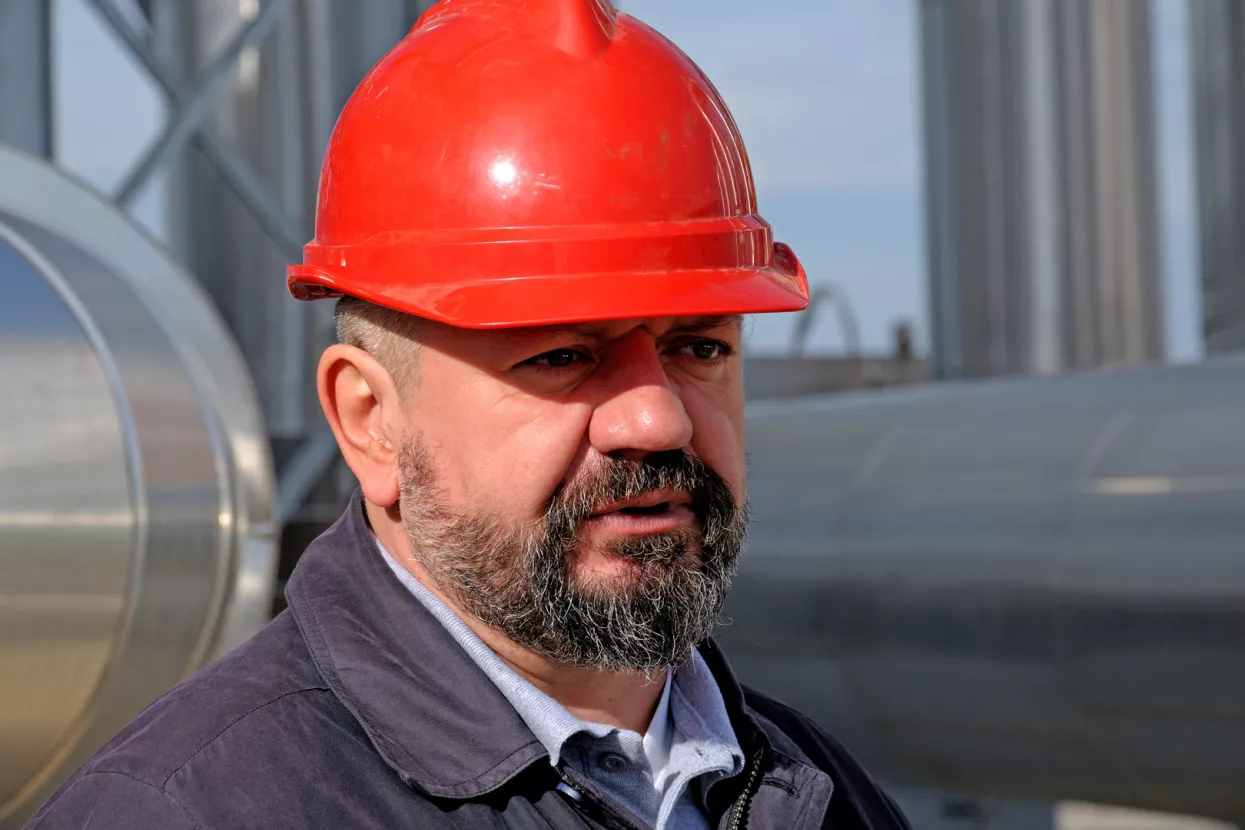 Dragutin Domitrović