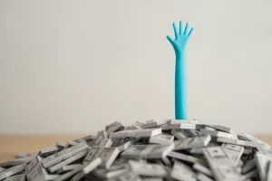 rasterećenje gospodarstva