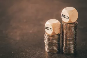 neto plaća, bruto plaća. plaća
