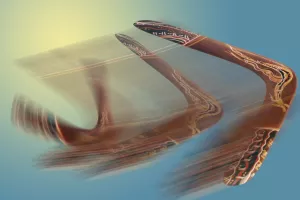 Bumerang, povratak, povratnik, natrag