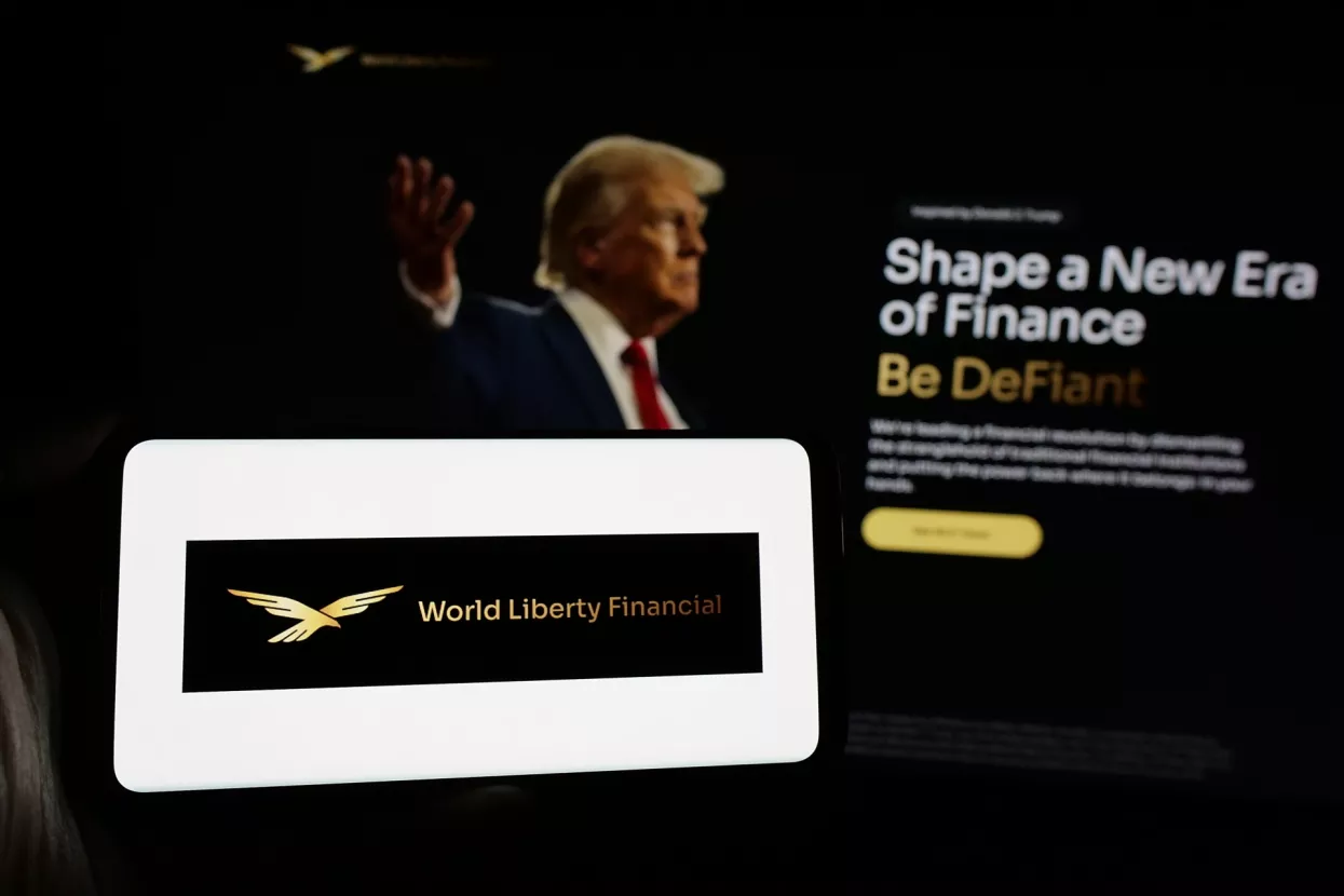 Stuttgart, Germany - 10-22-2024Person holding smartphone with logo of US crypto company World Liberty Financial Inc. on screen in front of website. Focus on phone display. Unmodified photo.