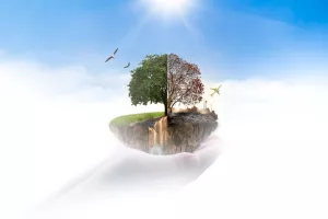 Tvrtke mogu smanjiti štetu za okoliš: Alata sve više, izlika sve manje