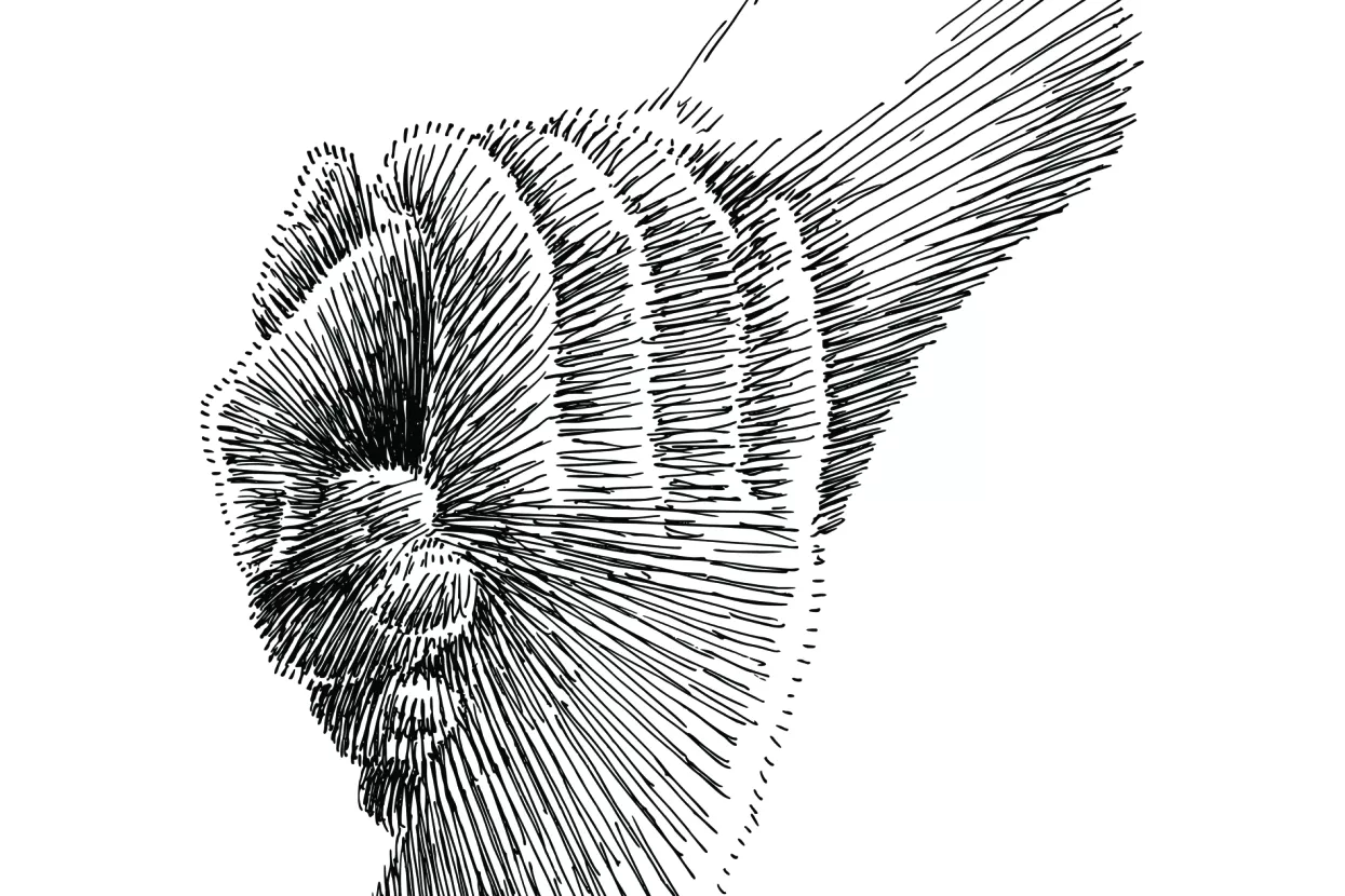 Državna pomoć samo hrvatskoj pameti i na ograničeni rok