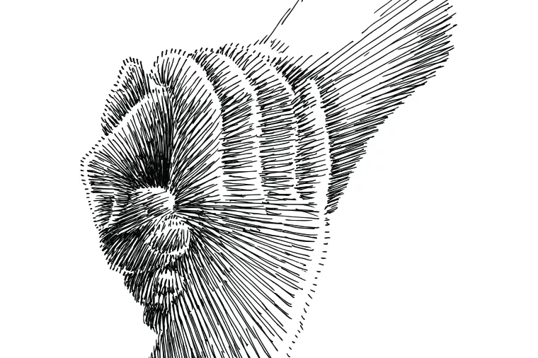 Državna pomoć samo hrvatskoj pameti i na ograničeni rok