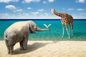 Dešifriranje životinjskog jezika