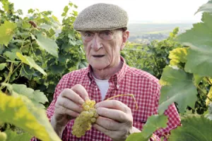 Umro Enver Moralić, vlasnik najveće hrvatske vinarije Kutjevo