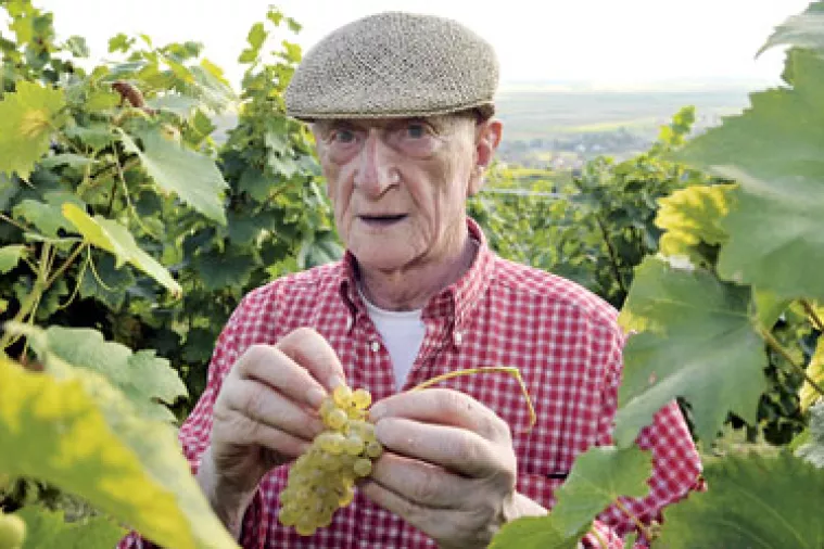 Umro Enver Moralić, vlasnik najveće hrvatske vinarije Kutjevo