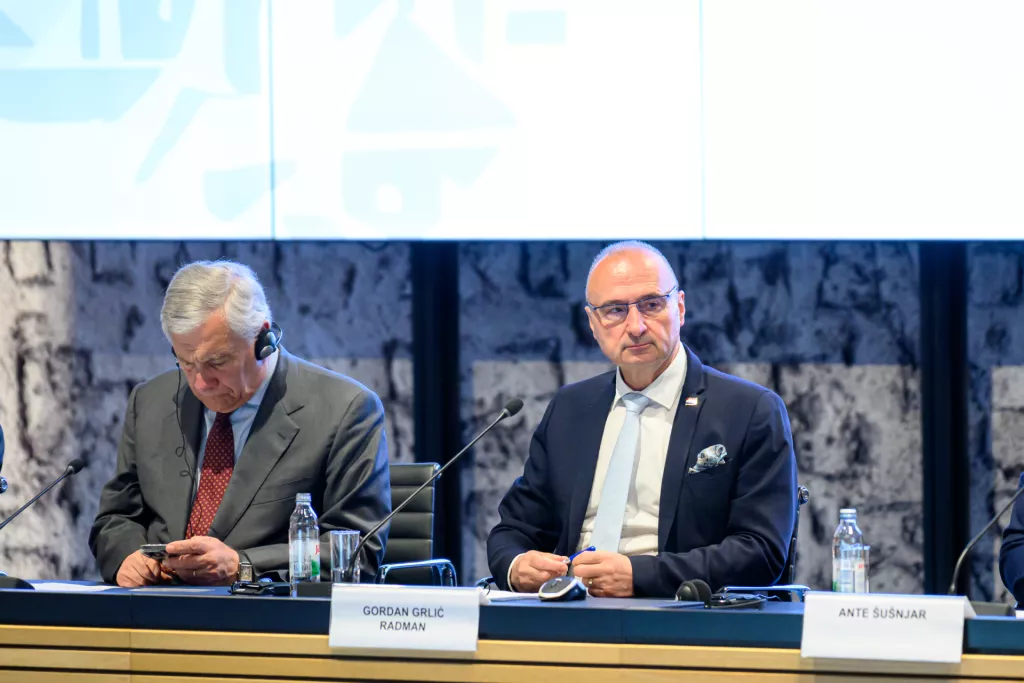 Gordan Grlić Radman