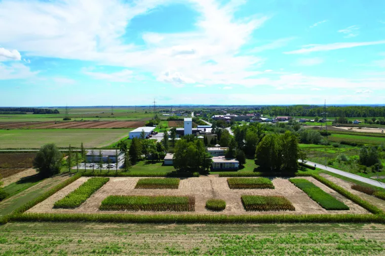 BC INSTITUT - pokus BC kukuruza,soje i suncokreta i upravna zgrada 2024