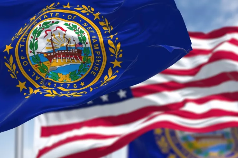 The New Hampshire zastava