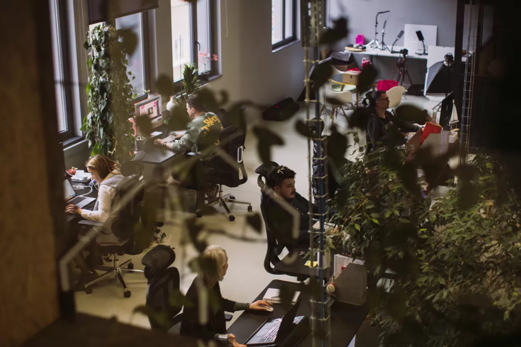 Agencija I TO NIJE SVE_2