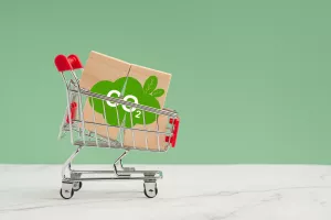 EU ne odgađa nego mijenja pravila za ugljičnu prilagodbu na granicama