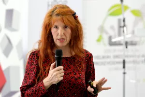 Lider invest Osijek: Đula Borozan