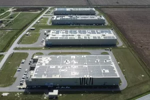 Žito grupa, pršutana