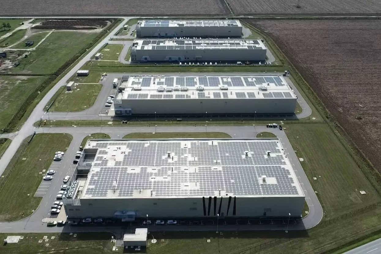 Žito grupa, pršutana